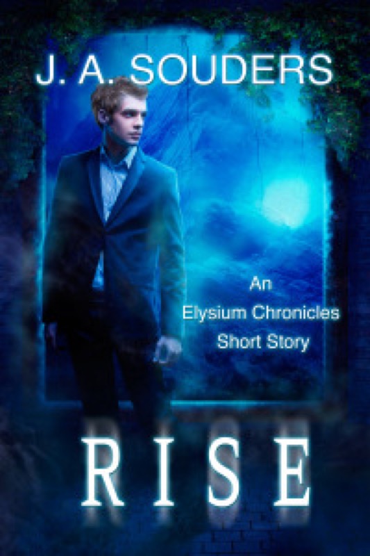 Rise cover